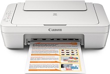 Canon PIXMA MG2520 bílstjóri