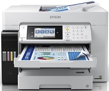 Epson EcoTank L15160 bílstjóri
