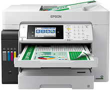 Epson EcoTank Pro ET-16600 bílstjóri
